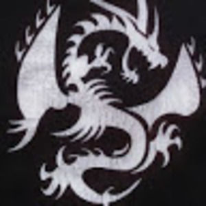 Meet your Posher, Dragon mma academy